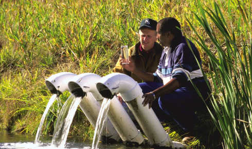 scale removal services