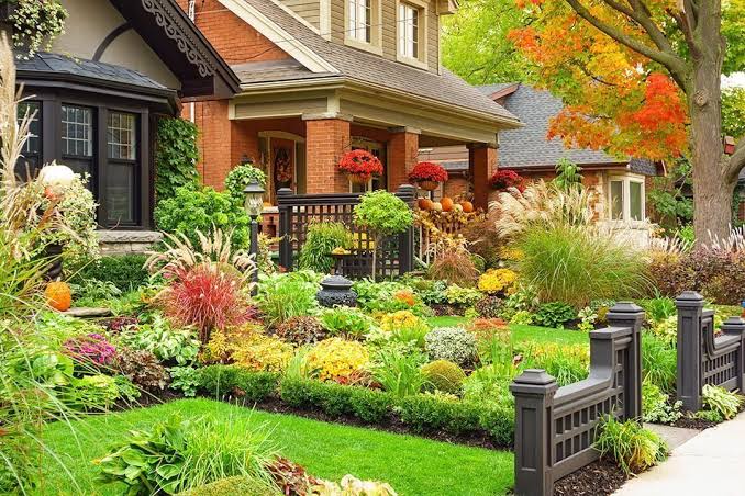 backyard landscaping Austin